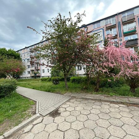 Апартаменты Apartament Wiewiorka Гданьск Экстерьер фото