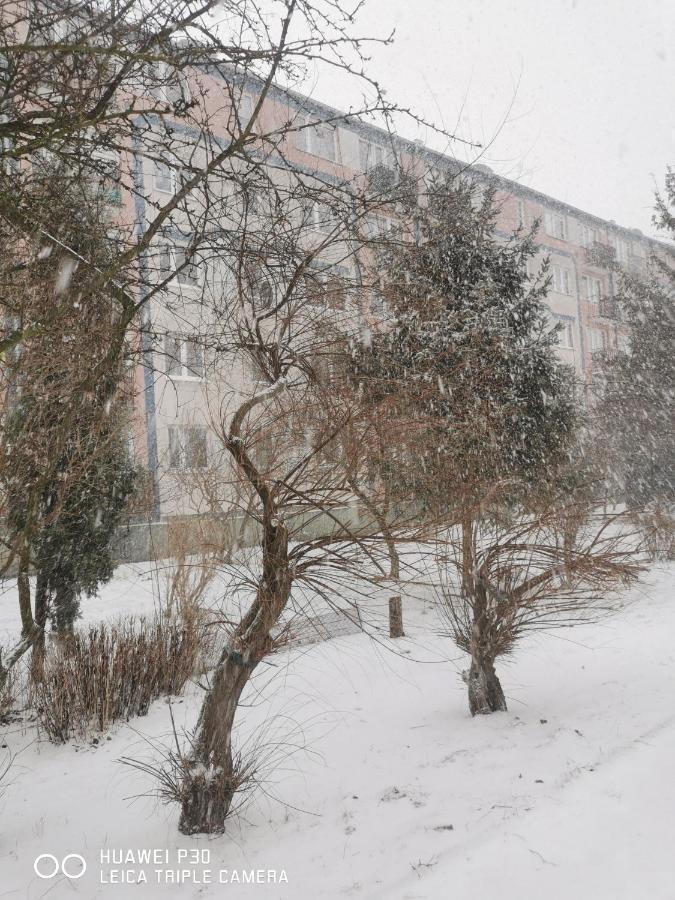 Апартаменты Apartament Wiewiorka Гданьск Экстерьер фото