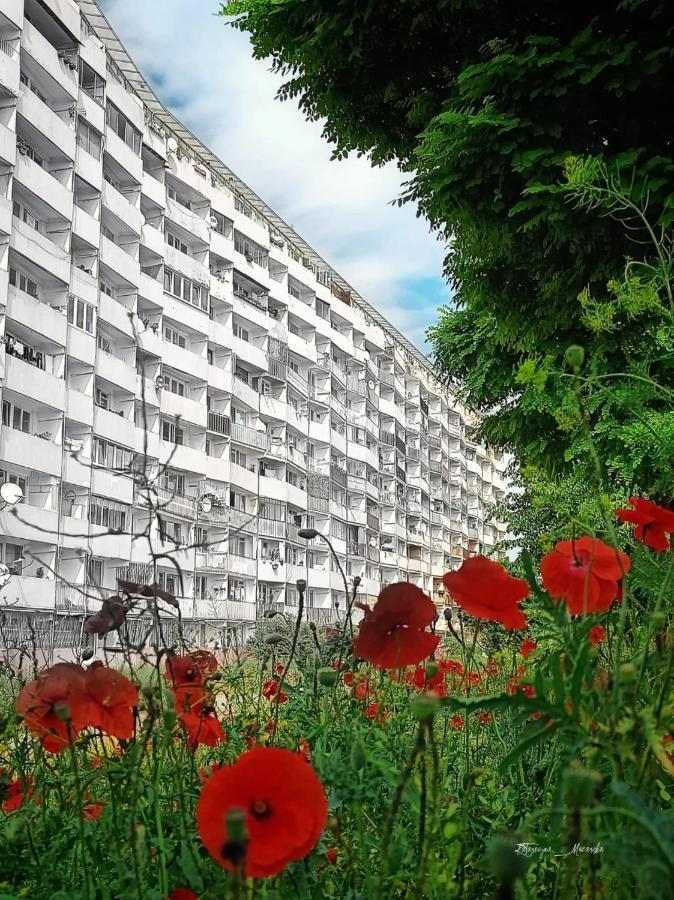 Апартаменты Apartament Wiewiorka Гданьск Экстерьер фото